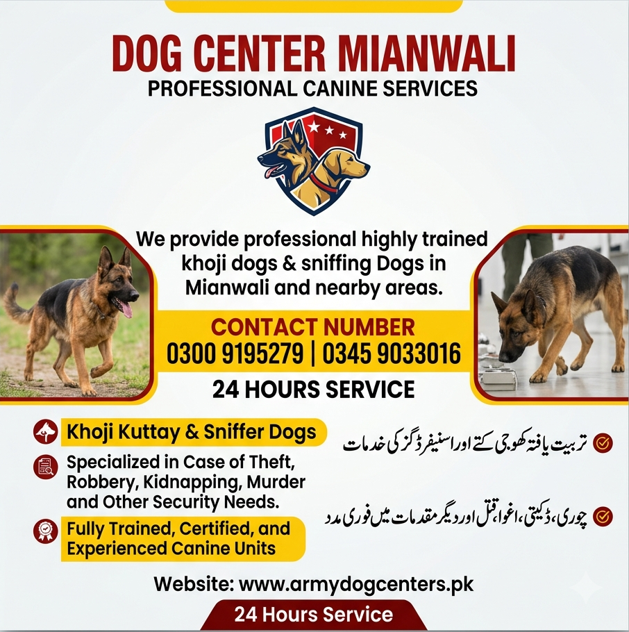 Army Dog Center Mianwali | Khoji Dog Center Mianwali | Khoji Kuttay Mianwali