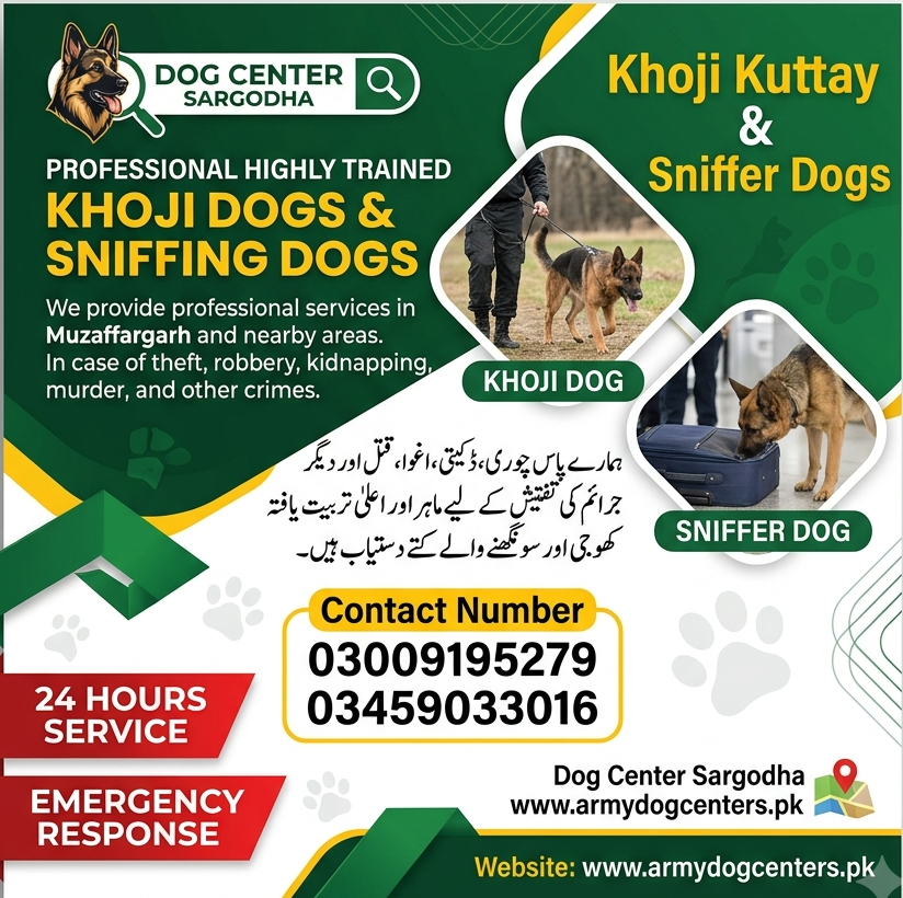Army Dog Center Sargodha | Khoji Dog Center Sargodha | Khoji Kutta Sargodha | Sniffer Dogs